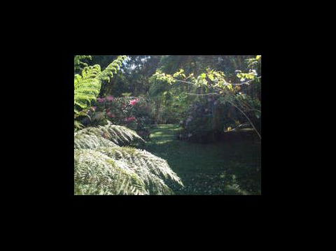 A Country House At Winstanley - Holiday Sunshine Coast 4