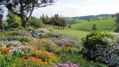  Sunshine Coast Tourism