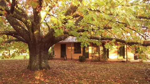 Delatite Station - Sunshine Coast Tourism 3