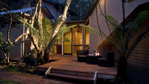 Mount Dandenong VIC Sunshine Coast Tourism