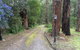 Emerald Creek Cottages - thumb 5