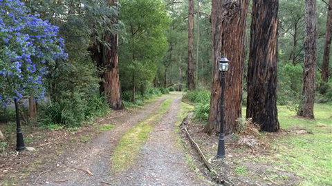 Emerald Creek Cottages - Sunshine Coast Tourism 5