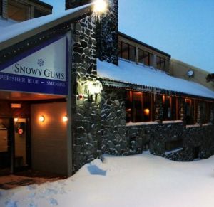 Snowy Gums Chalet - Holiday Sunshine Coast 1