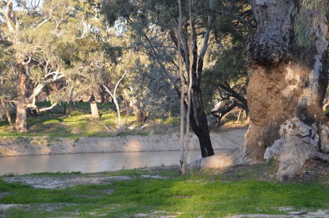Beds In The Barwon - Sunshine Coast Tourism 0