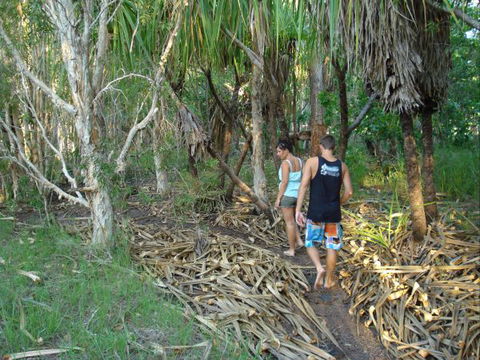 Berry Creek Bush Retreat - Holiday Sunshine Coast 7