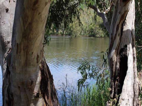 Bumberry Dam - Sunshine Coast Tourism 1