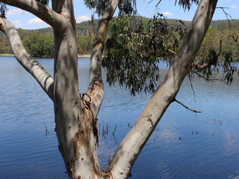 Bumberry Dam - Sunshine Coast Tourism 2