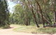 Bumberry Dam - thumb 3
