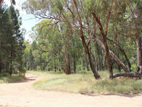 Bumberry Dam - Sunshine Coast Tourism 3