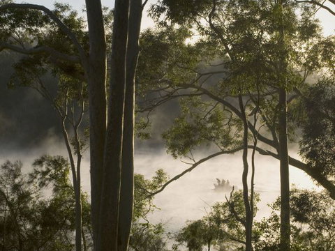 Hobbs Point Cottage - Sunshine Coast Tourism 4