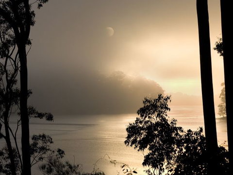 Hobbs Point Cottage - Sunshine Coast Tourism 5