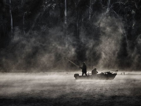 Hobbs Point Cottage - Sunshine Coast Tourism 6