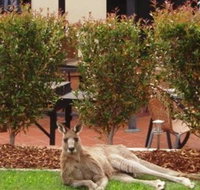 Alpha Canberra Hotel and Apartments - Sunshine Coast Tourism