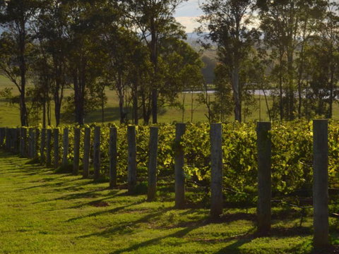 H Boutique Hotel - Sunshine Coast Tourism 2