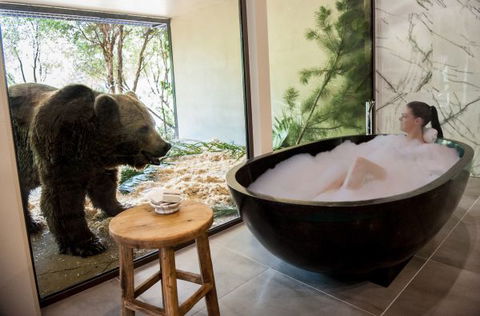 Jamala Wildlife Lodge - Holiday Sunshine Coast 1