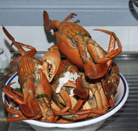 King Ash Bay Lodge - Sunshine Coast Tourism