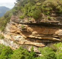 Blackheath Glen Tourist Park - Holiday Sunshine Coast