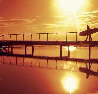 Arrawarra Beach Holiday Park - Sunshine Coast Tourism