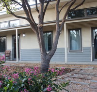 The Grape and Olive in Willunga - Sunshine Coast Tourism