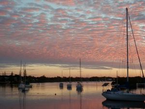 Calypso Holiday Park - Sunshine Coast Tourism 0