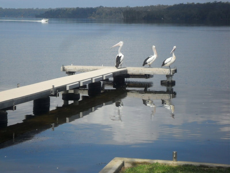 Basin View NSW Holiday Sunshine Coast