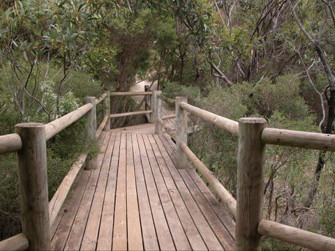 Raven Cottage - Sunshine Coast Tourism 1