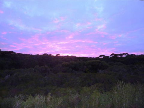 Raven Cottage - Sunshine Coast Tourism 5
