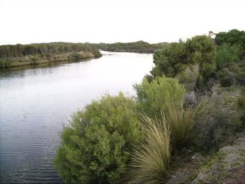 Raven Cottage - Sunshine Coast Tourism 7