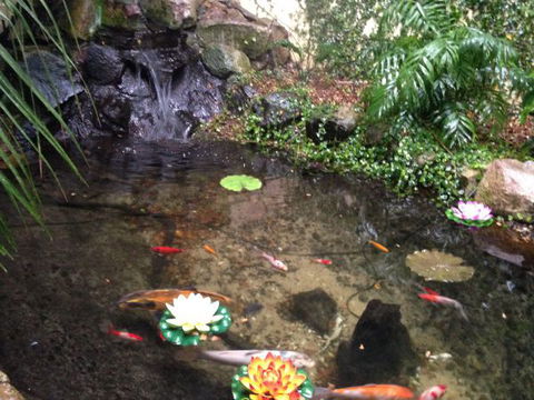 Statesman Hotel - Holiday Sunshine Coast 2