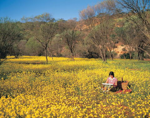 Wolfe Creek Crater Camp At Wolfe Creek Crater National Park - Holiday Sunshine Coast 20