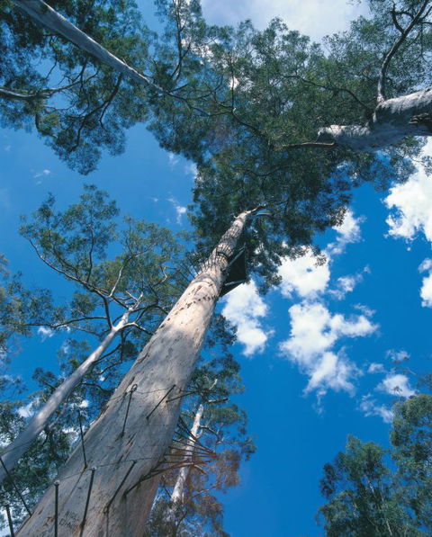 Wolfe Creek Crater Camp At Wolfe Creek Crater National Park - Holiday Sunshine Coast 13