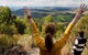 Eagleview Resort - thumb 1