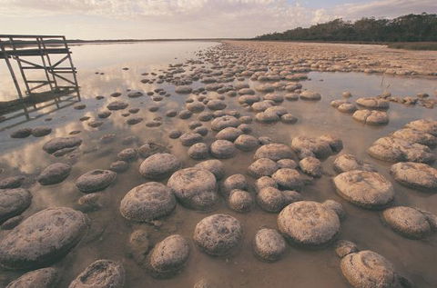 Wolfe Creek Crater Camp At Wolfe Creek Crater National Park - Holiday Sunshine Coast 22