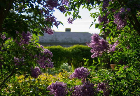 Eurambeen Historic Homestead And Gardens - Sunshine Coast Tourism 1