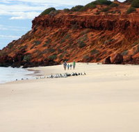 Herald Bight Camp at Francois Peron National Park - Sunshine Coast Tourism