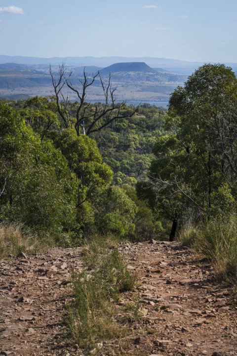 Kroombit Tops National Park Camping Ground - Holiday Sunshine Coast 3