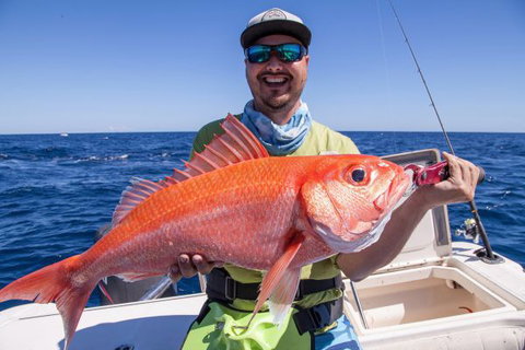 Mackerel Islands - Sunshine Coast Tourism 7