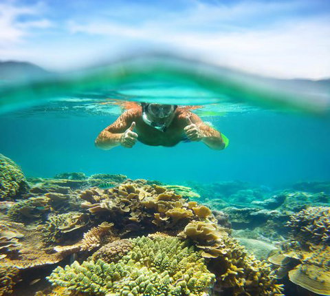 Mackerel Islands - Sunshine Coast Tourism 8