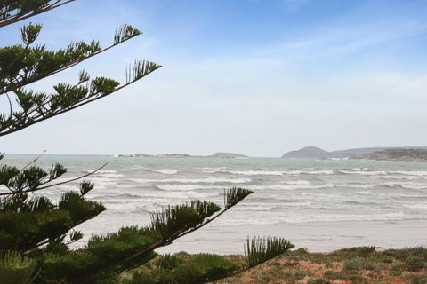 Willows - Sunshine Coast Tourism 9