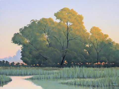 Art Of Richard Stanley, Studio And Gallery, The - Holiday Sunshine Coast 1