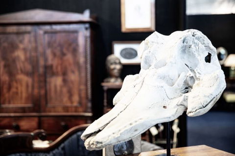 AAADA Antiques & Art Fair Sydney - Holiday Sunshine Coast 7