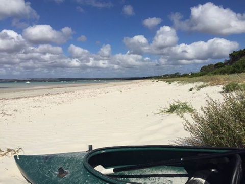 Alchemy On Island Beach - Holiday Sunshine Coast 3