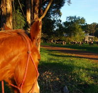 Billa Billa Farm Cottages - Sunshine Coast Tourism