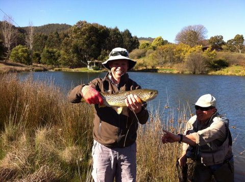 Jamieson Valley Retreat - Sunshine Coast Tourism 1