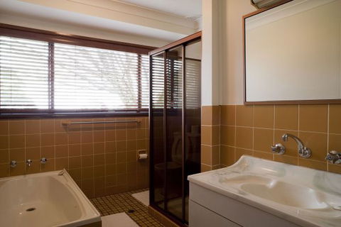 The Jungle Lodge, Blue Mountains Botanic Gardens - Sunshine Coast Tourism 4