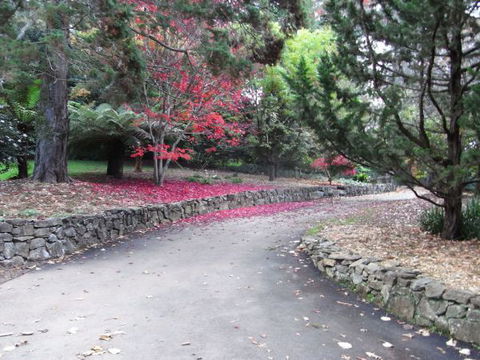 The Jungle Lodge, Blue Mountains Botanic Gardens - Sunshine Coast Tourism 5