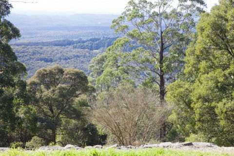 The Jungle Lodge, Blue Mountains Botanic Gardens - Sunshine Coast Tourism 6