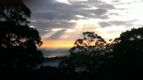 The Jungle Lodge, Blue Mountains Botanic Gardens - Sunshine Coast Tourism 8