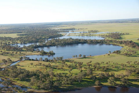 Willalooka Eco Lodge - Sunshine Coast Tourism 2