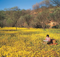 Miners Camp at Coalseam National Park - Holiday Sunshine Coast